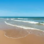 Petite Paradise דירה *