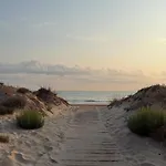 Petite Paradise